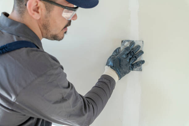 Best Drywall Sanding and Smoothing  in Crescent Springs, KY